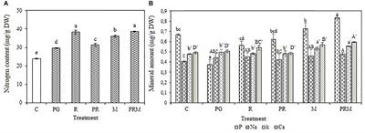 Use of Rhizobacteria and Mycorrhizae Consortium in the Open Field as a Strategy for Improving Crop Nutrition, Productivity and Soil Fertility